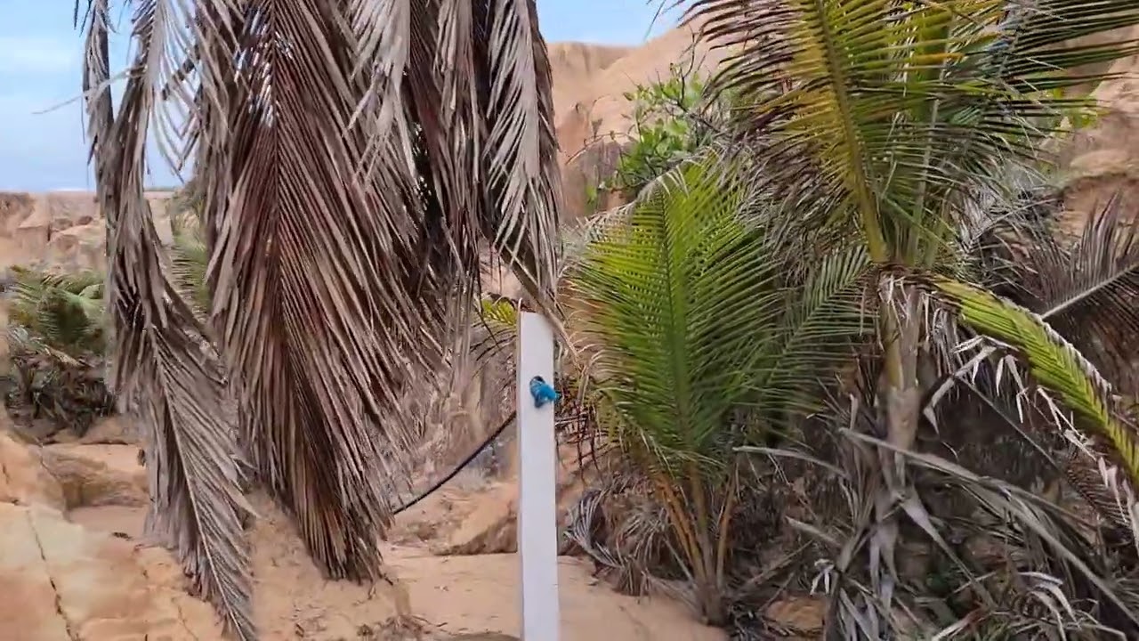 A SOLITUDE TRÁS LIBERDADE,  MAS MUITAS P.. NÃO ESTÃO PREPARADAS PRA ISSO