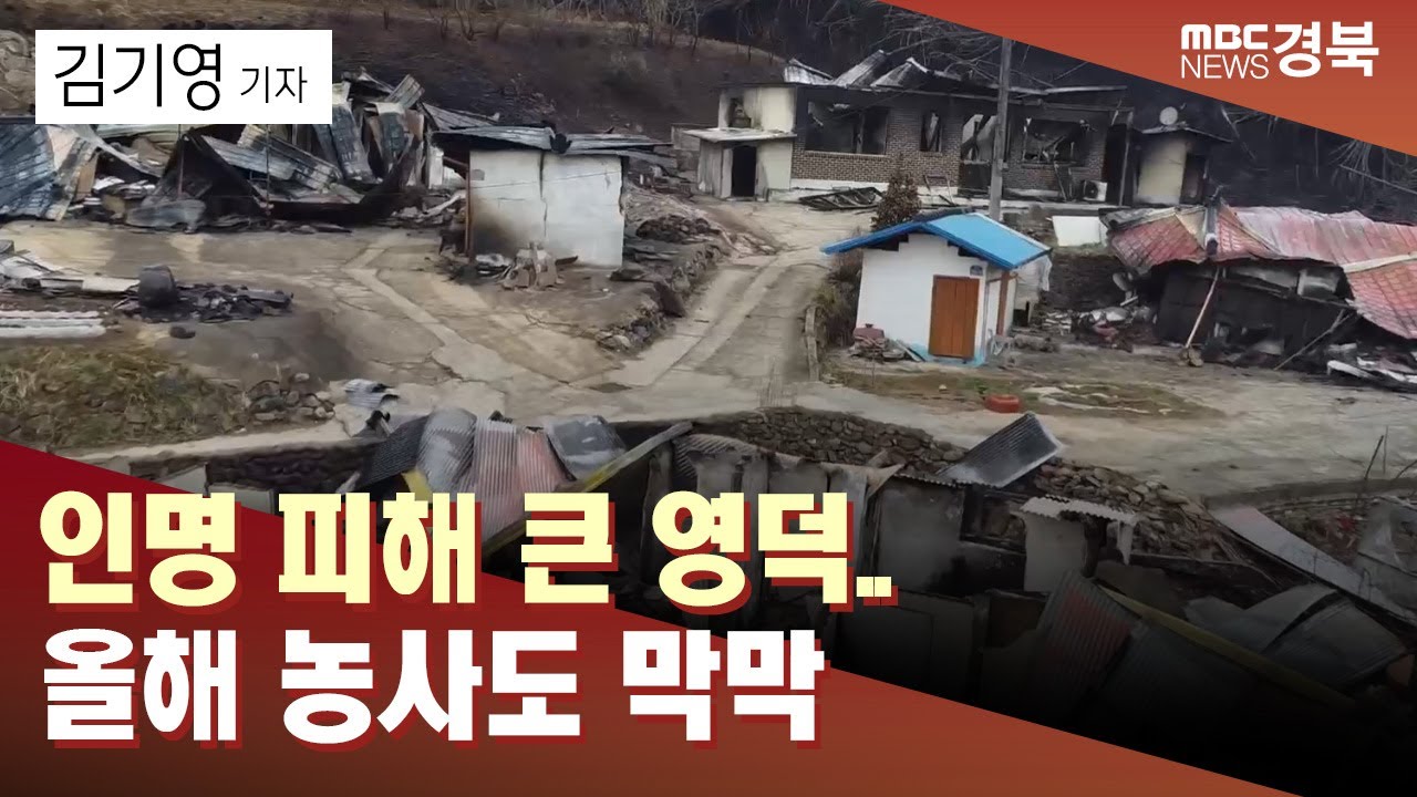 R]인명 피해 큰 영덕..올해 농사도 막막 / 안동MBC