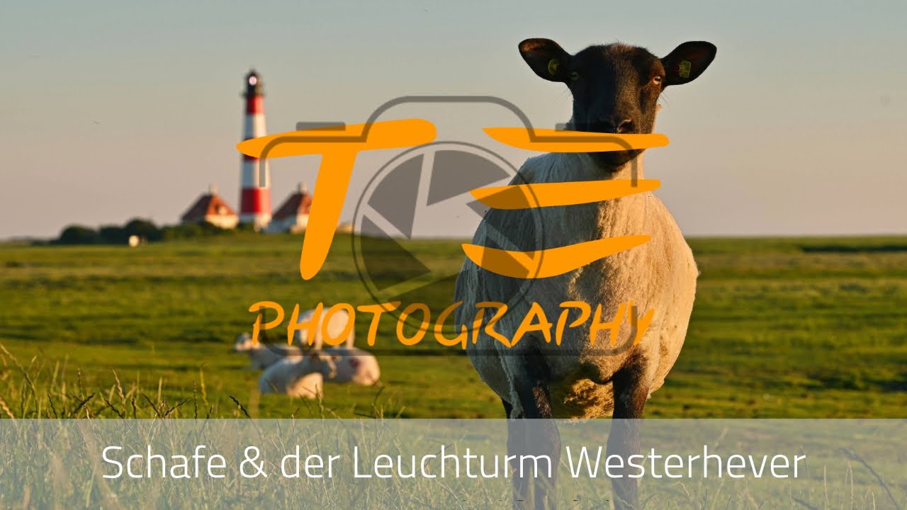 Der Leuchturm Westerhever in der goldenen Stunde