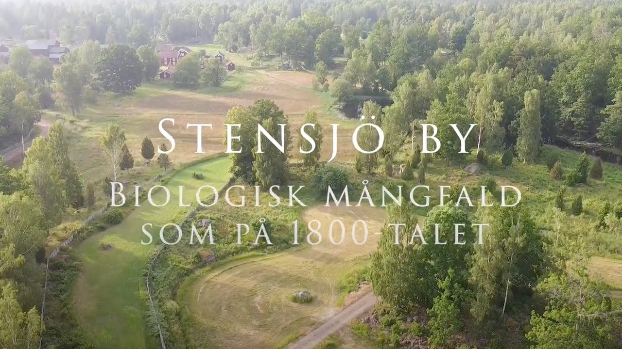 Stensjö by – biologisk mångfald som på 1800-talet