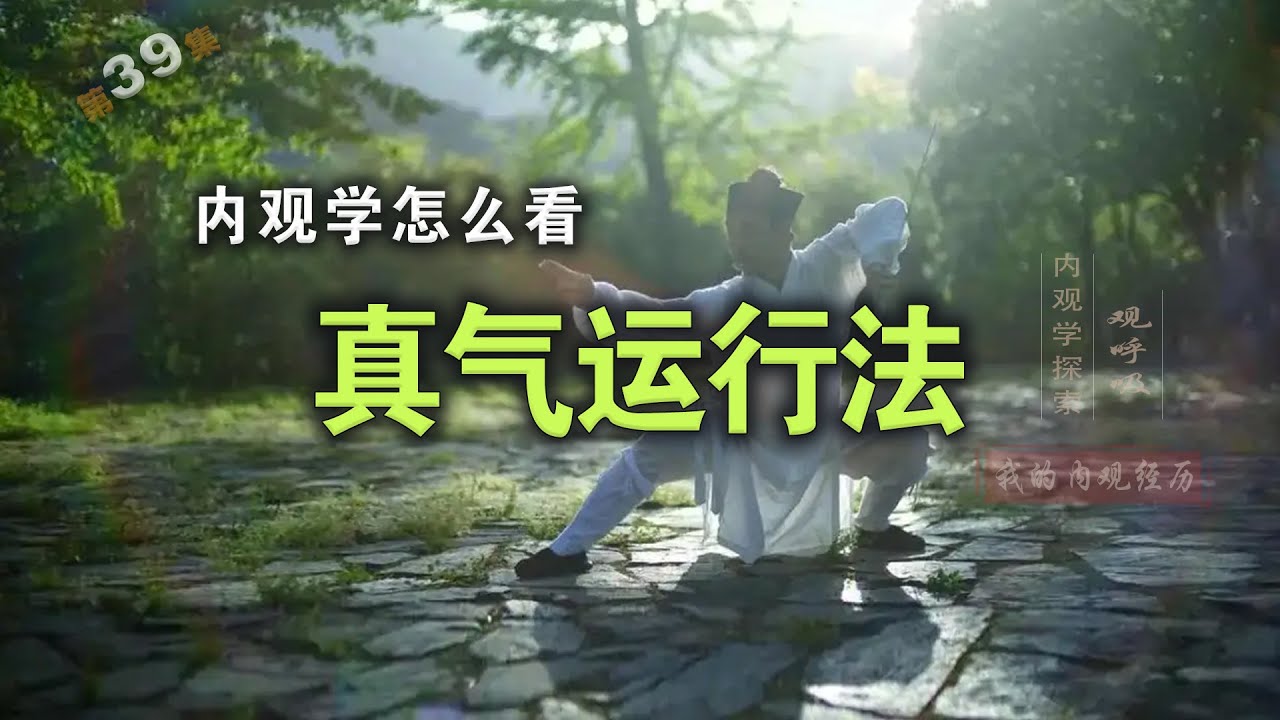 李少波真气运行法 内观学咋看？《我的内观经历》39集由内观学知识星球课堂录制 中药草药太极武术柔道内证观察中医药大学内经针灸呼吸法门经络五行把脉传承