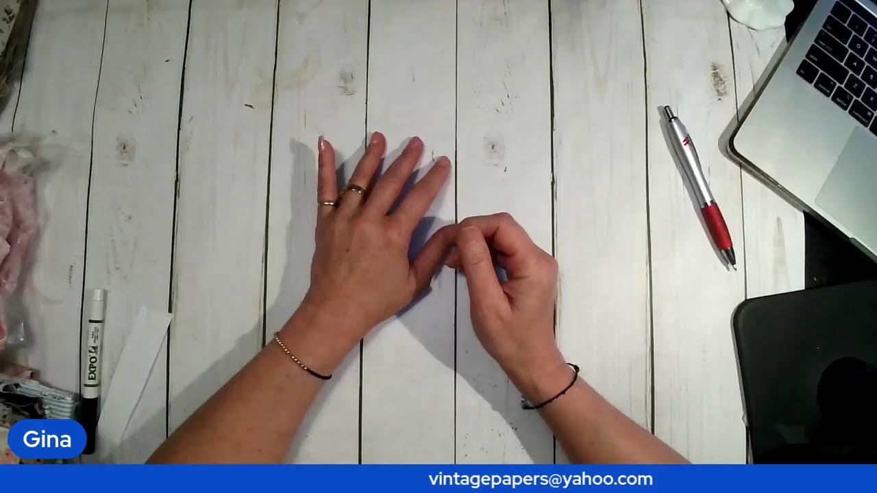 JOIN GINA, TUESDAY 1-20 @ 7 PM EST - FRENCH BOOKS AND PAPER