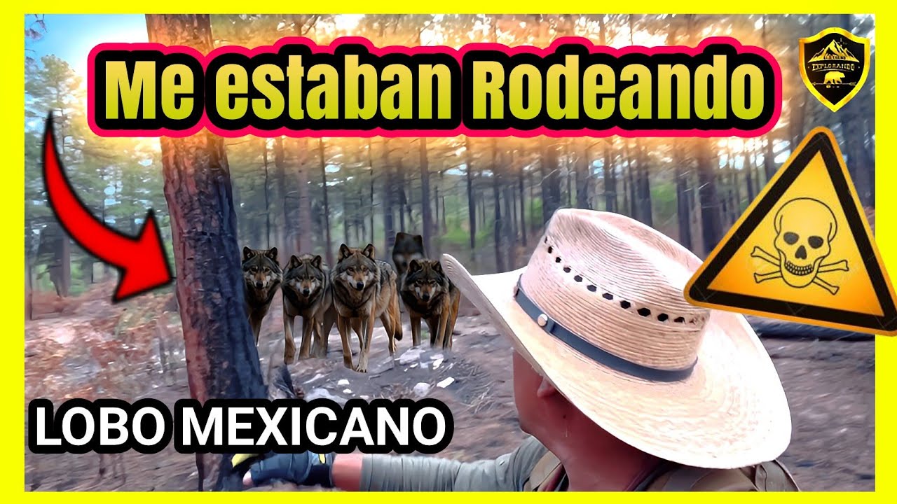 IBAN ATACARME EN CUALQUIER MOMENTO #alextremo #aventuras