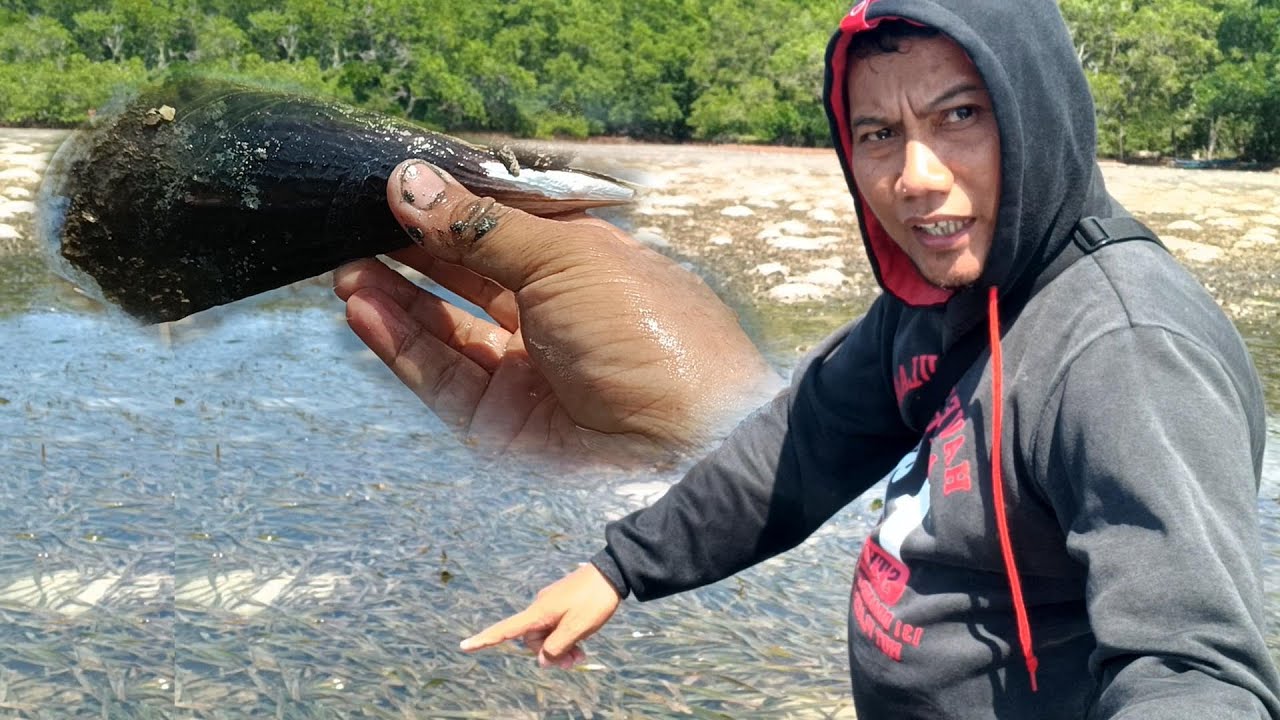 Mencari kerang kampak, sossong, gotta&sup2;, bintang laut, saat air laut surut