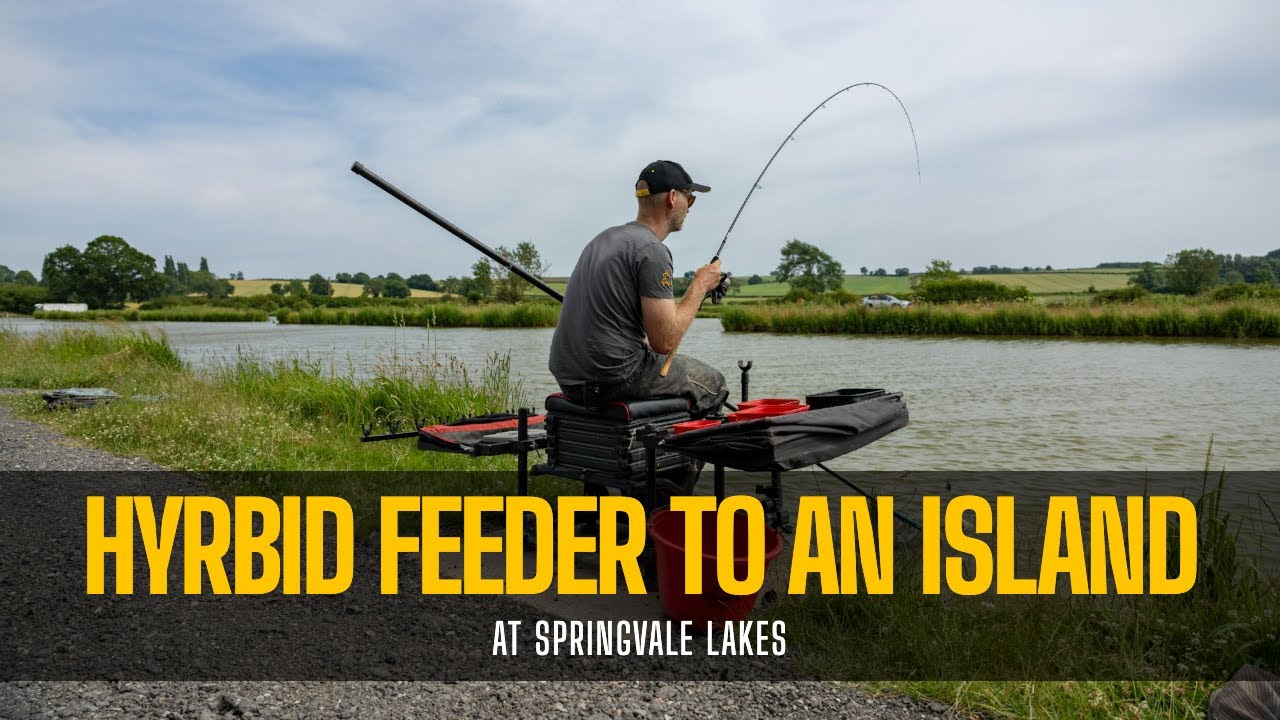 Hybrid Feeder to and Island Fishing Tips with Rob Wootton at Springvale Lakes