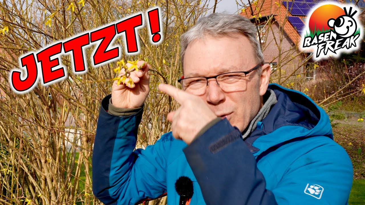 Wann D&Uuml;NGEN? Start in die Rasensaison! So entsteht ein sch&ouml;ner Rasen: m&auml;hen, d&uuml;ngen, w&auml;ssern.