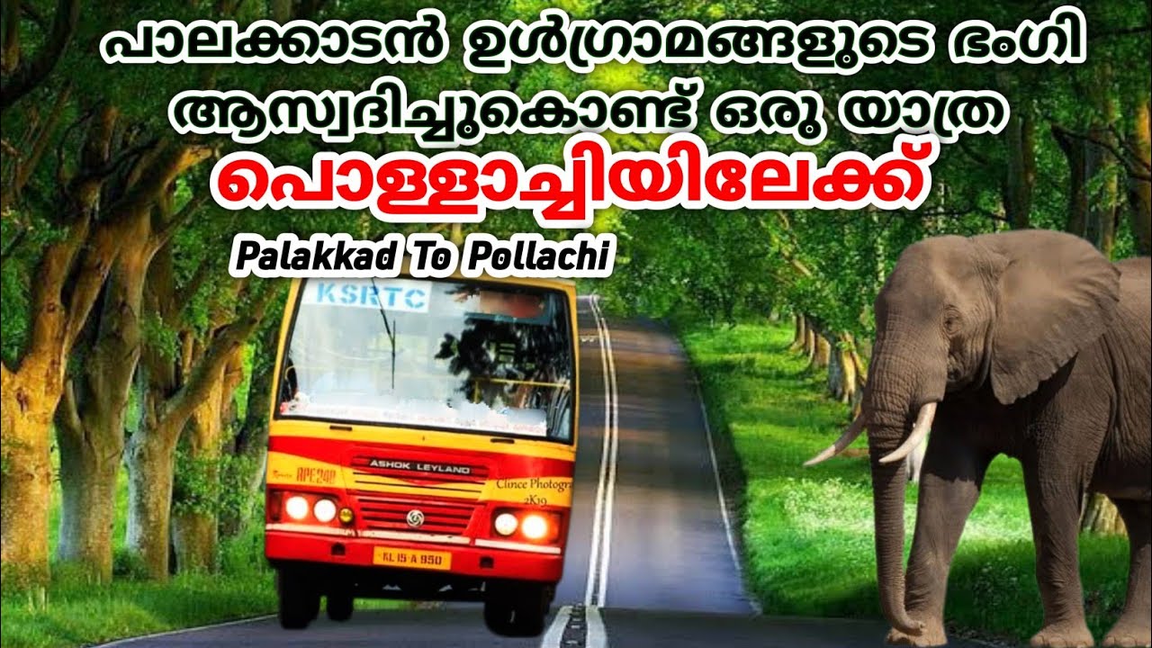 Palakkad to Pollachi / Aanavandi / Palakkad / Pollachi