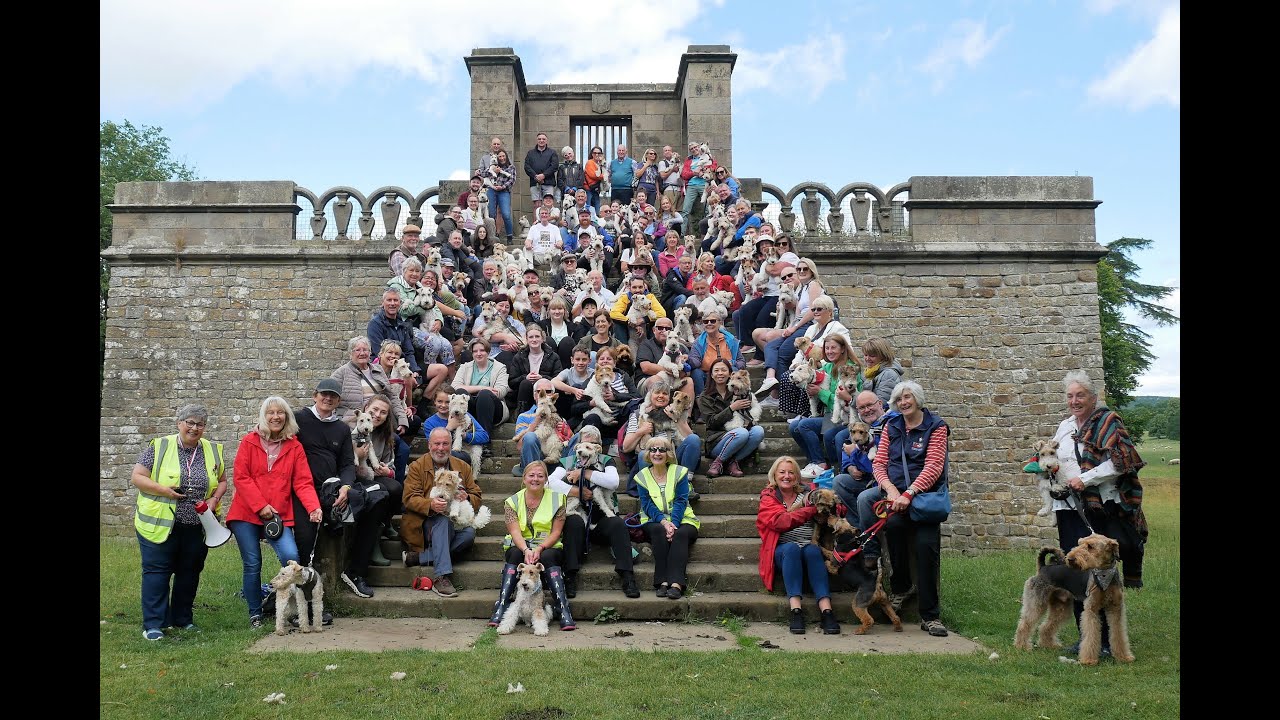 5th National Fox Terrier Meet (UK), 2nd July 2022