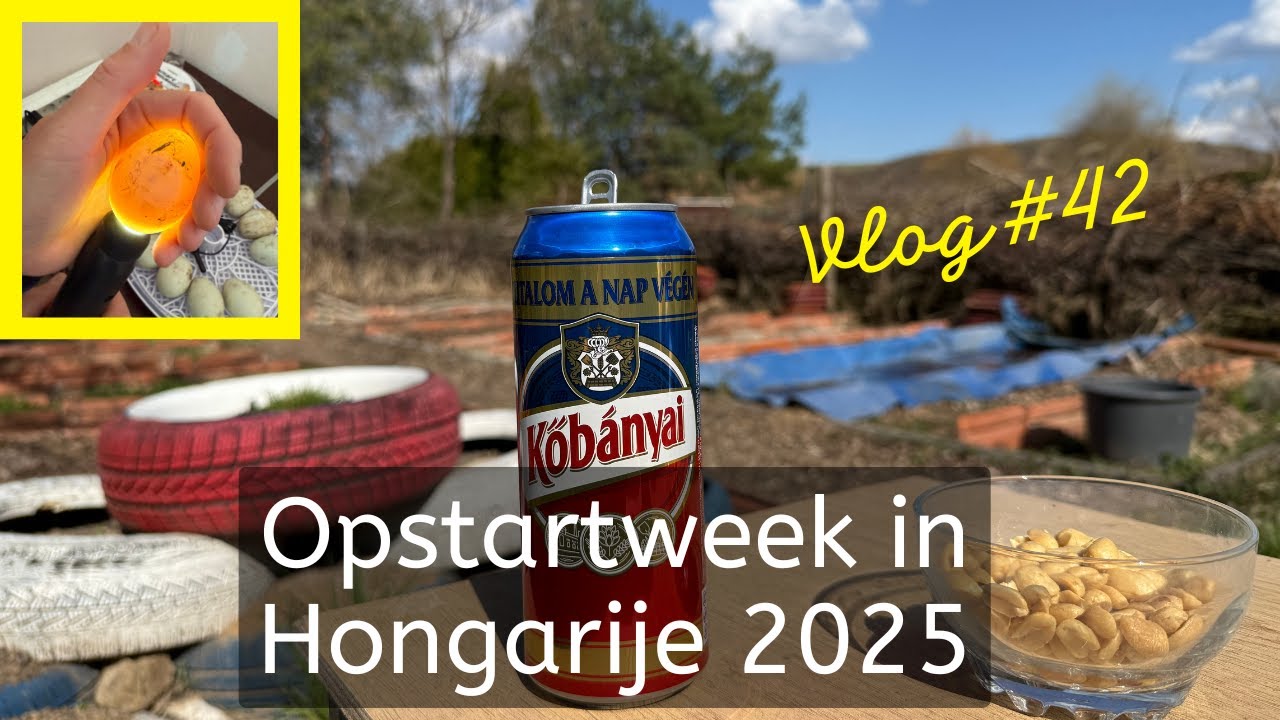 #42 - Opstartweek in Hongarije 2025