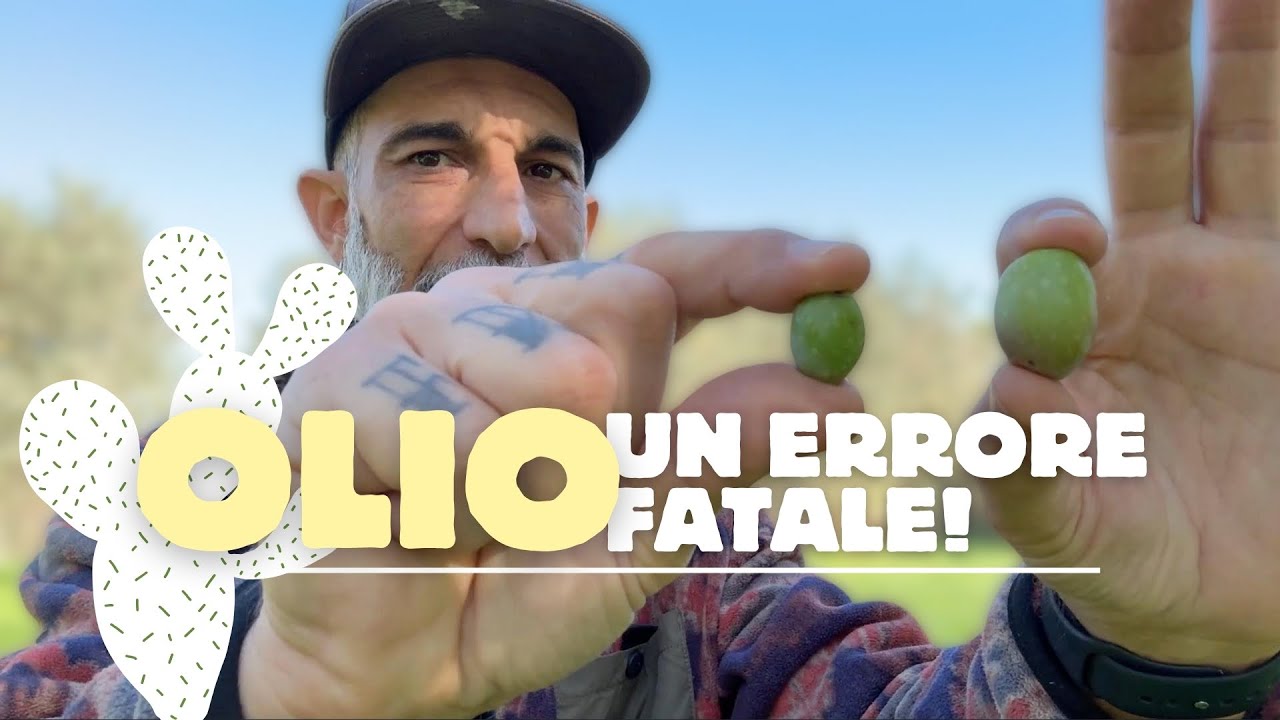 #24 | Olio - Un Errore Fatale!