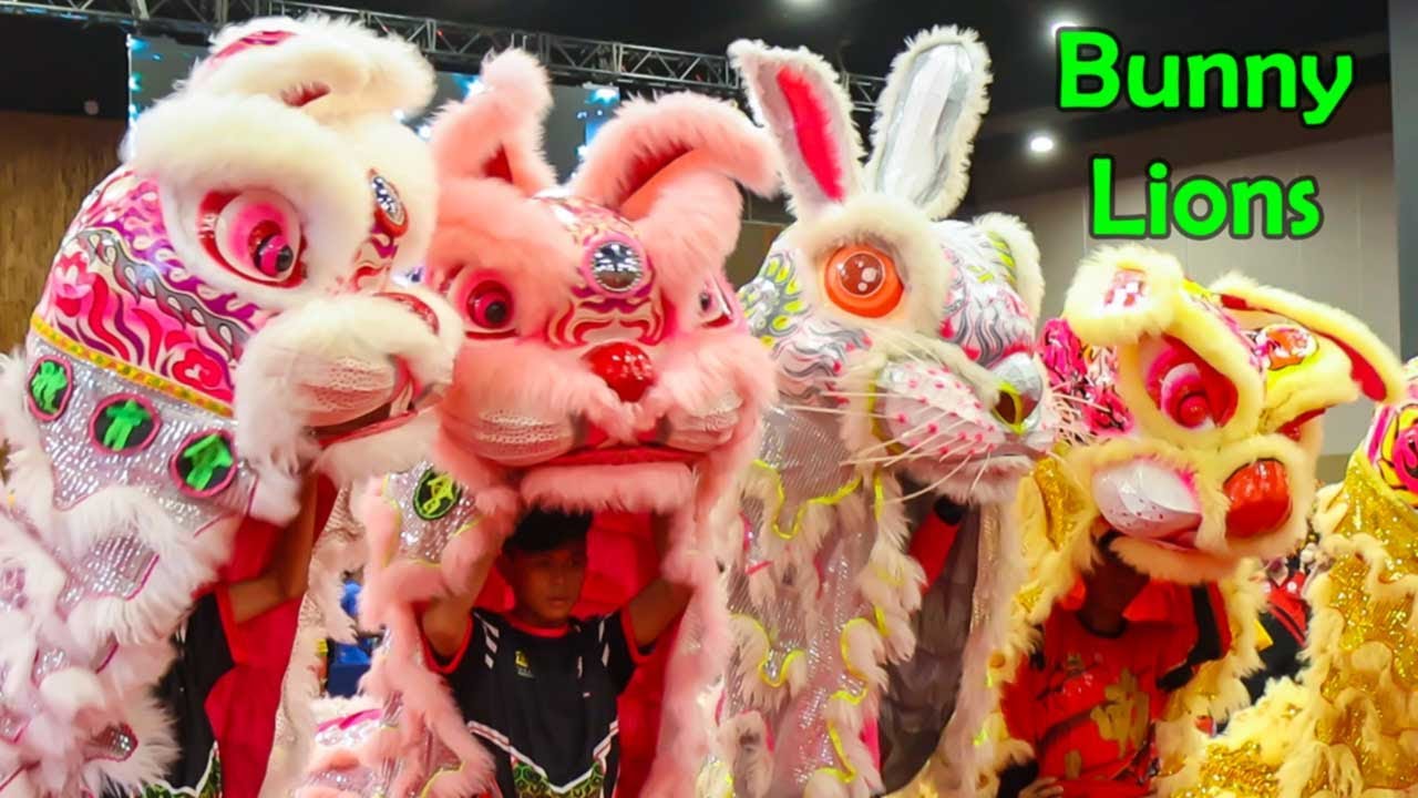 Twin Bunny Lion Dance for the Year of Rabbit