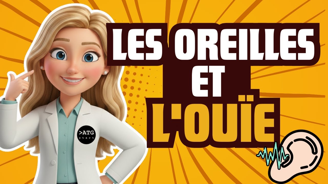 Les oreilles et l'ou&iuml;e 👂