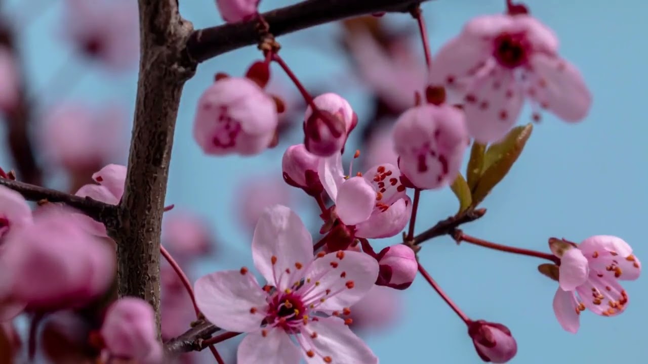 Neuer Spielplatzalarm! Spa&szlig; f&uuml;r Kinder, Entspannung f&uuml;r Eltern @ Ohlenkamp & Ebertallee Gemeinschaft