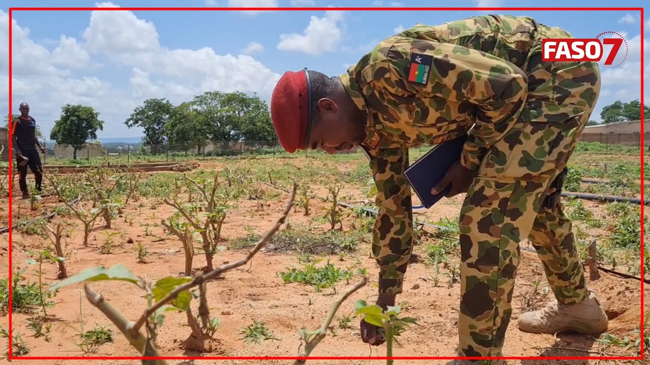 Burkina Faso : Le 24ᵉ régiment Interarmes (RIA) de Banfora entame sa production agricole