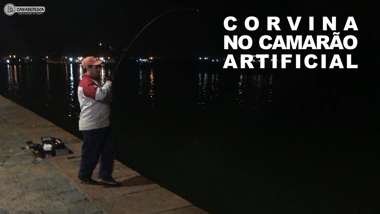 Corvina no camarão artificial a noite?