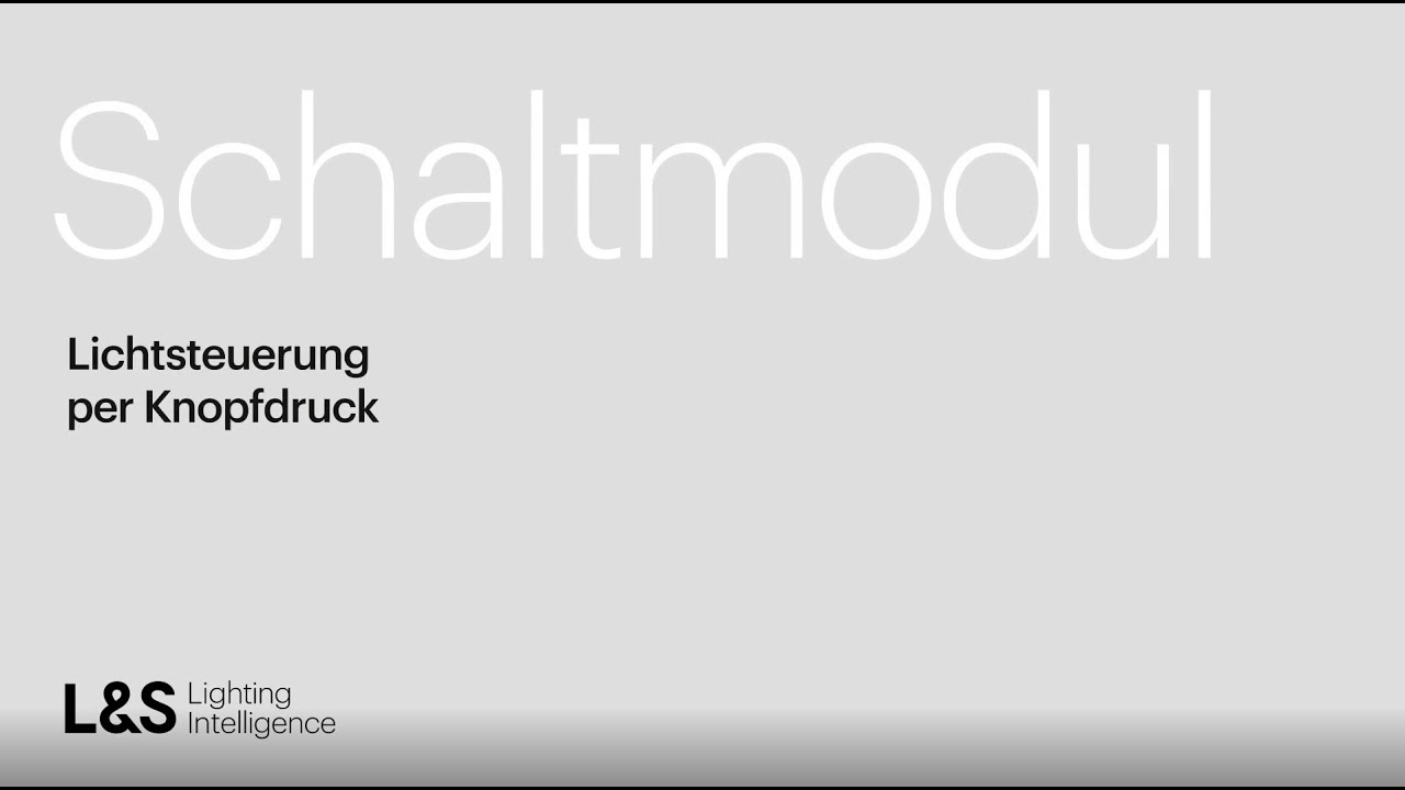 L&S Steuerungssystem Mec Driver - Schaltmodul - deutsch