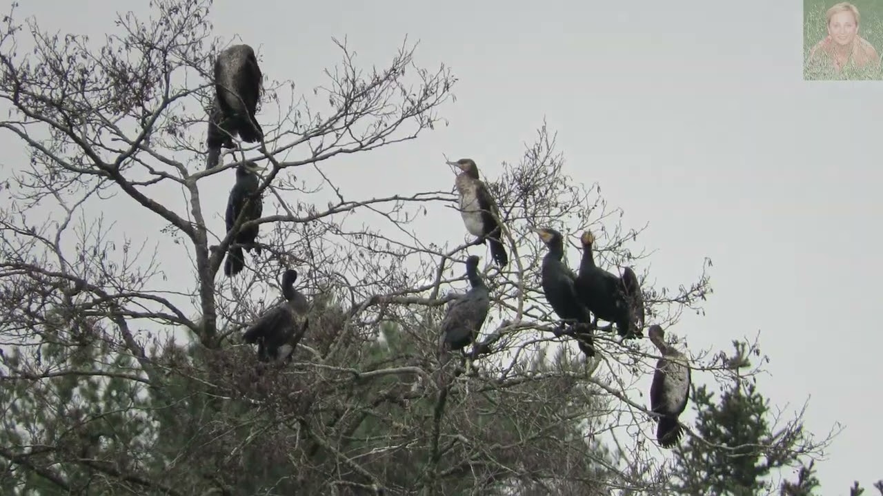 MROŹNY  DZIEŃ  NAD  WODĄ ...