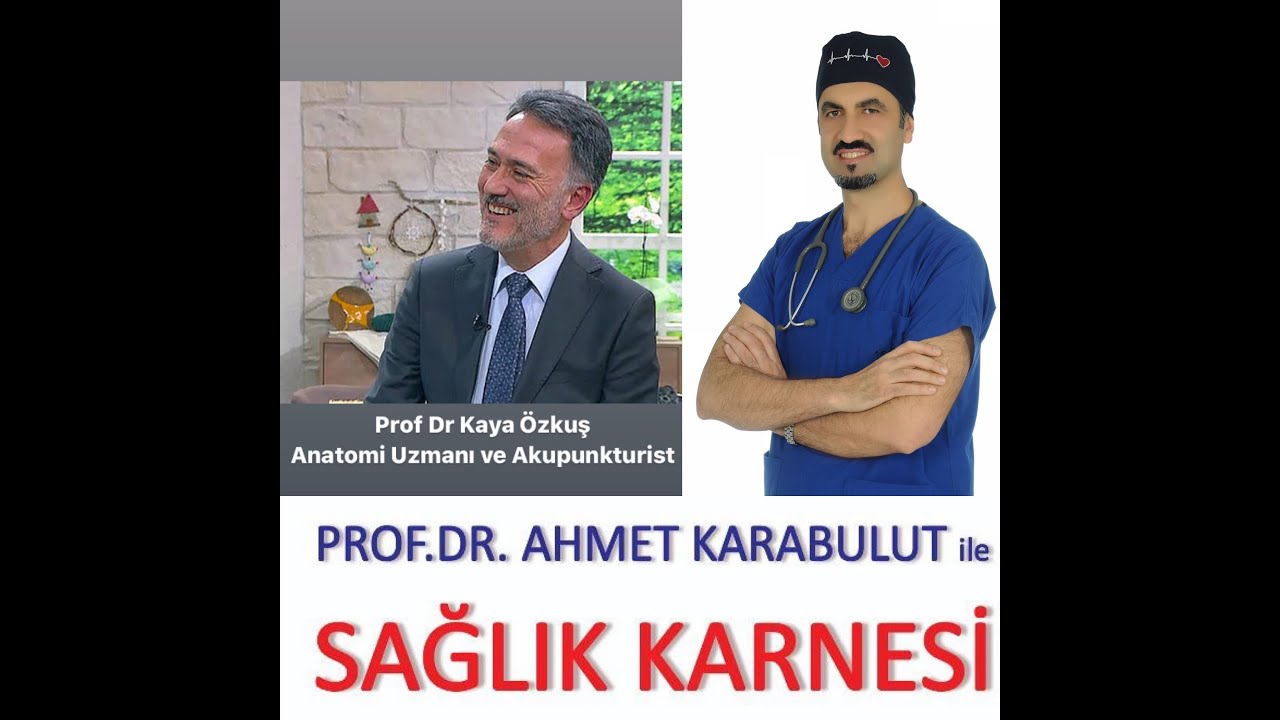AKUPUNKTUR TEDAVİSİ (BİLMENİZ GEREKENLER) - PROF DR KAYA ÖZKUŞ - PROF DR AHMET KARABULUT