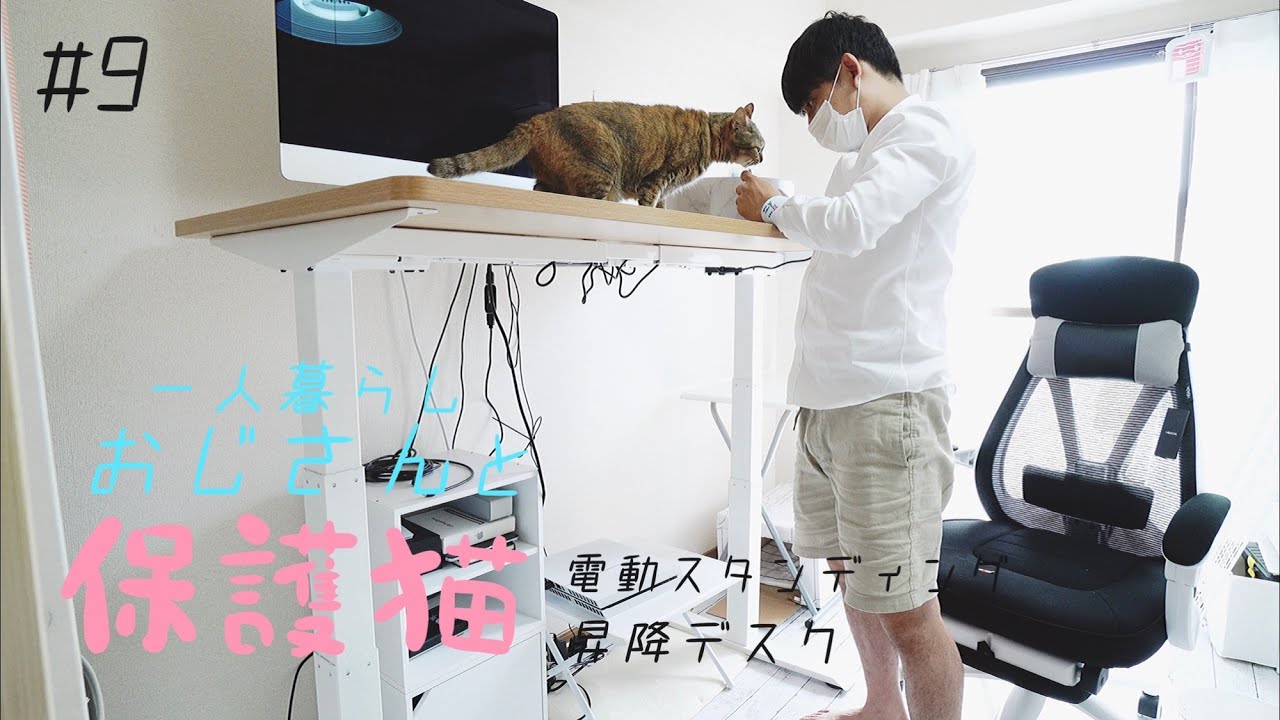 【FLEXISPOT】彼女とイチャイチャ出来る電動デスクが送られてきました｜保護猫6歳｜新アイコンアンケート結果｜一人暮らし｜#9