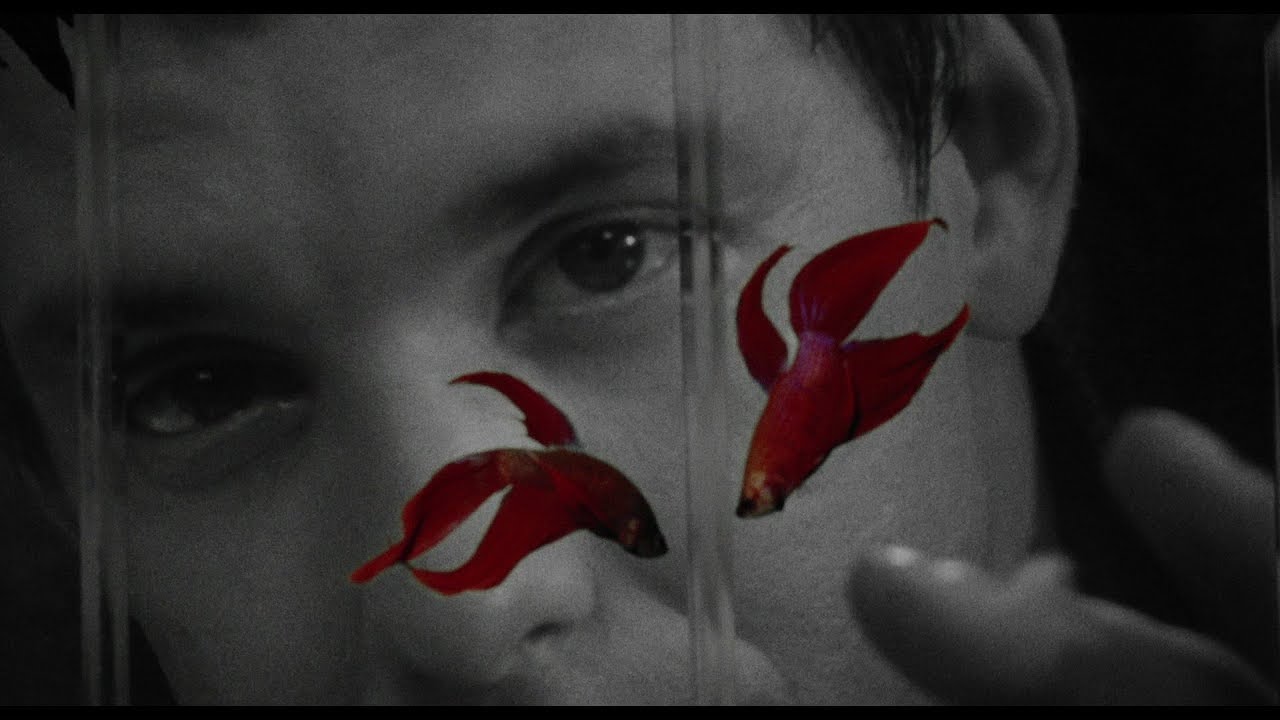Francis Ford Coppola on RUMBLE FISH (1983)