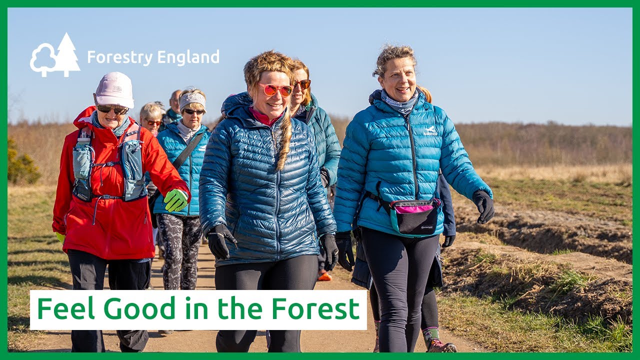 Feel Good in the Forest