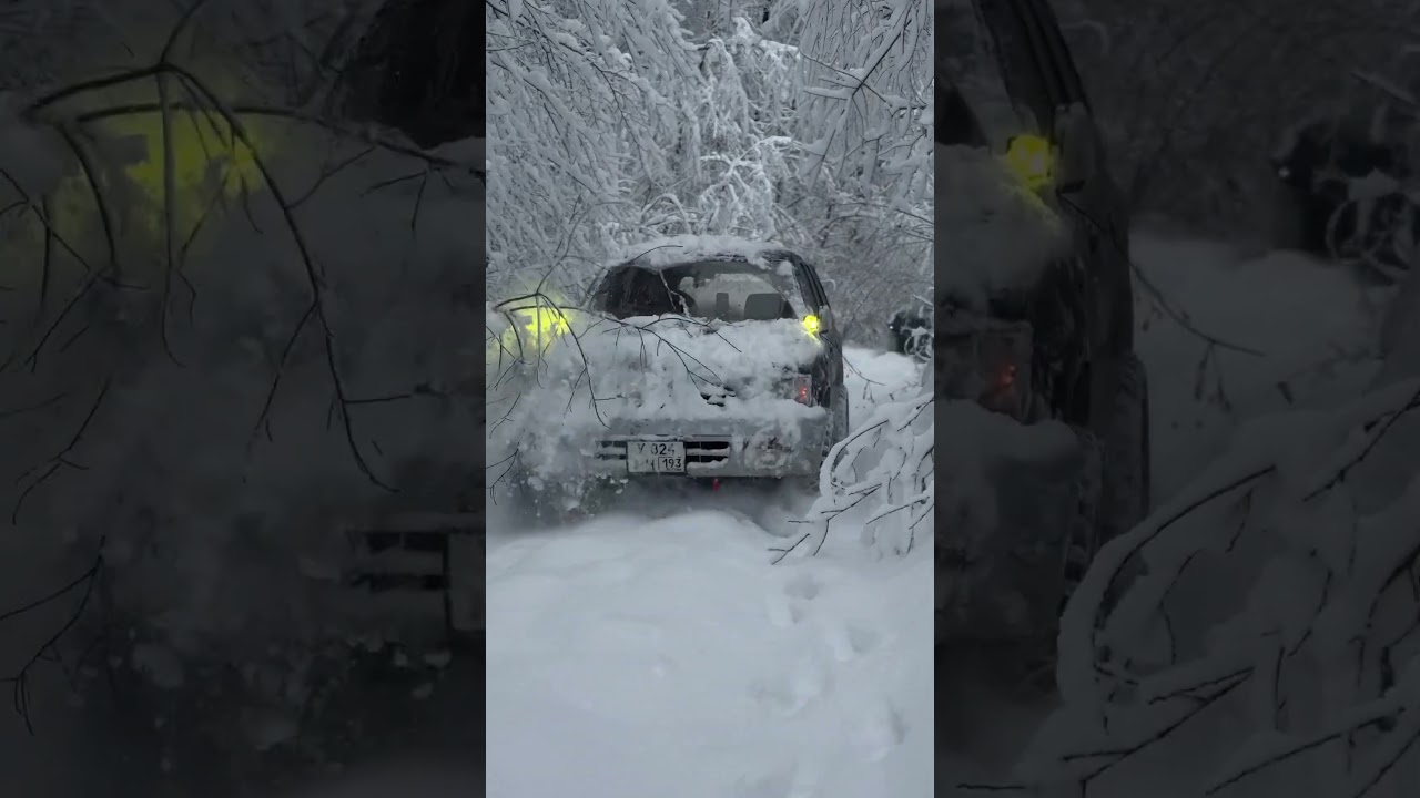 TG канал Божественная TOYOTA
