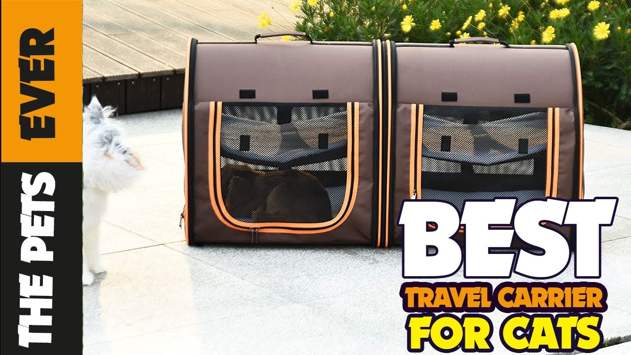 The 5 Best Travel Carrier for Cats  of 2022 | by The Pets Ever