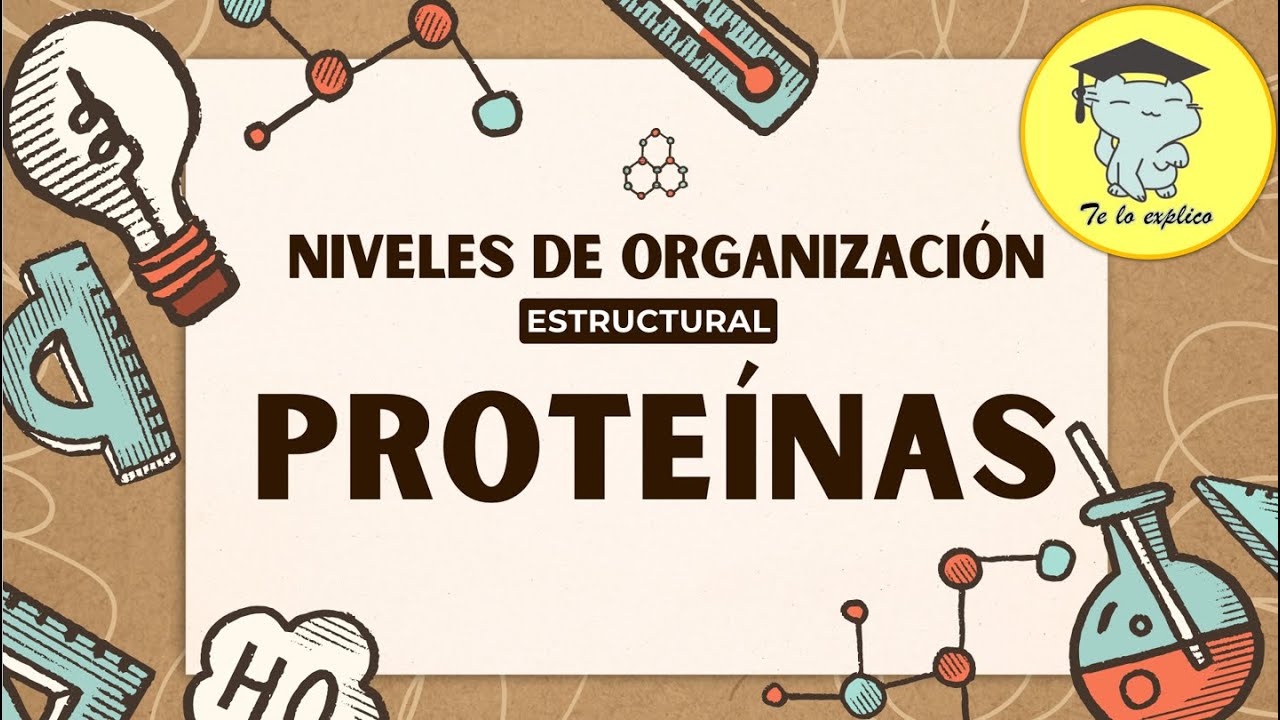 Estructura de las Proteínas en nuestro cuerpo
