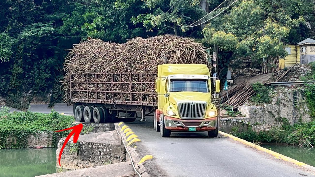 The most dangerous Bridge in Jamaica Flat Bridge \ S1 E1