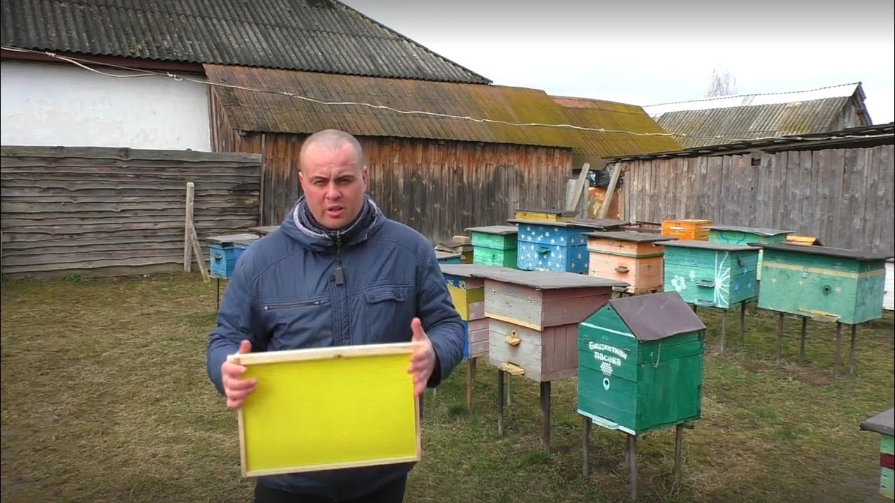 Коли можна ставити вощину? На що потрібно звертати увагу? Нюанси на пасіці.