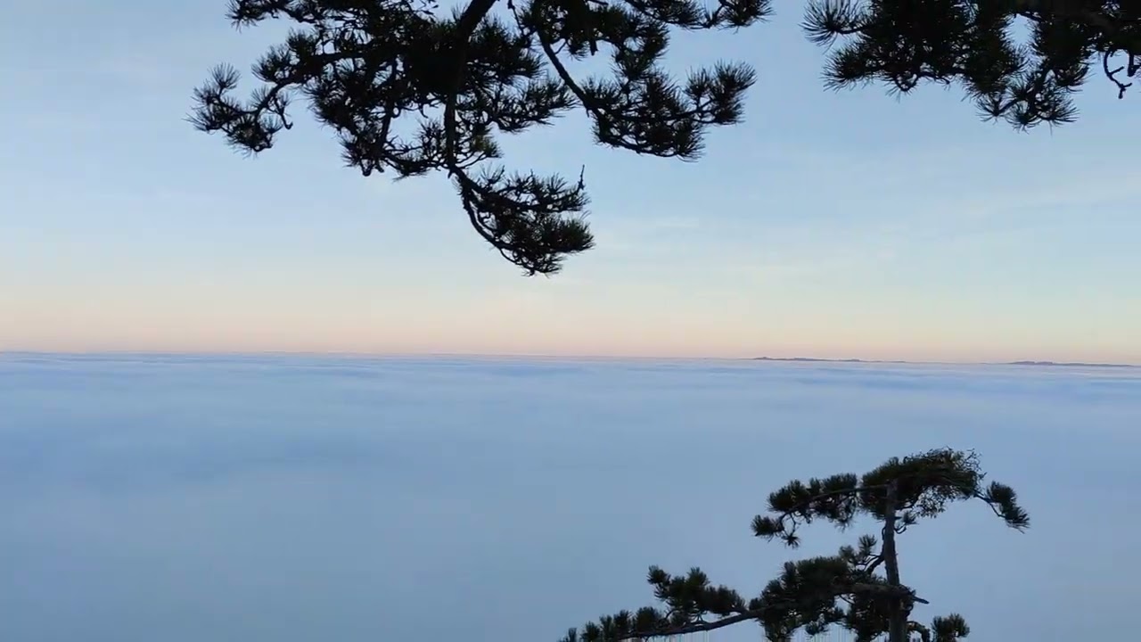 Traveller Tipp Reisen Skywalk Hohe Wand Trip Nebel Sonne Berg Ausblick Fernsicht Wandern Nebelmeer