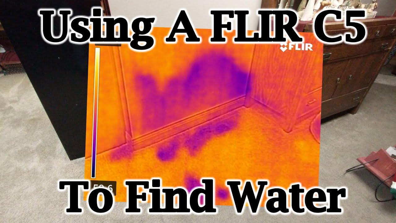 Can a FLIR C5 Infrared Camera Find Water Damage?