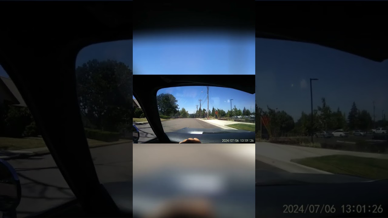 Parking Lot Bear Encounter: Road Rage & Unexpected Wildlife!