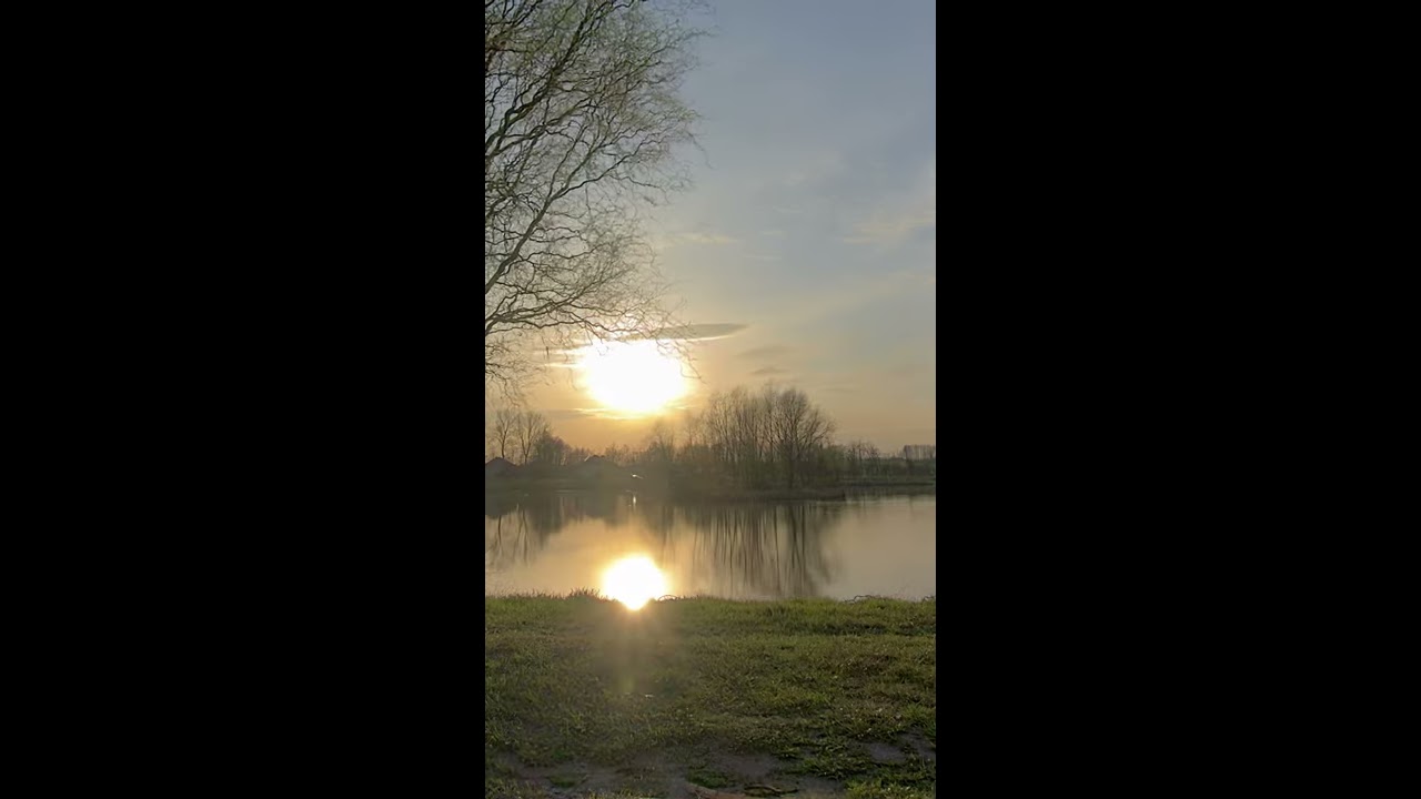 sunset timelapse 4K #shorts