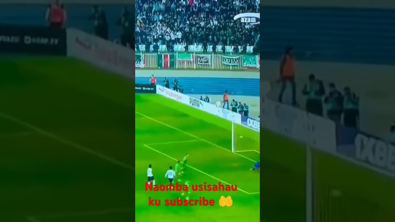 Gori la Mc Alger vs Tp mazembe🔥🔥🔥