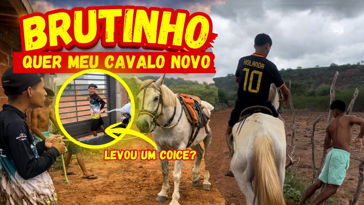BRUTINHO LEVA COICE DE CAVALO 😳