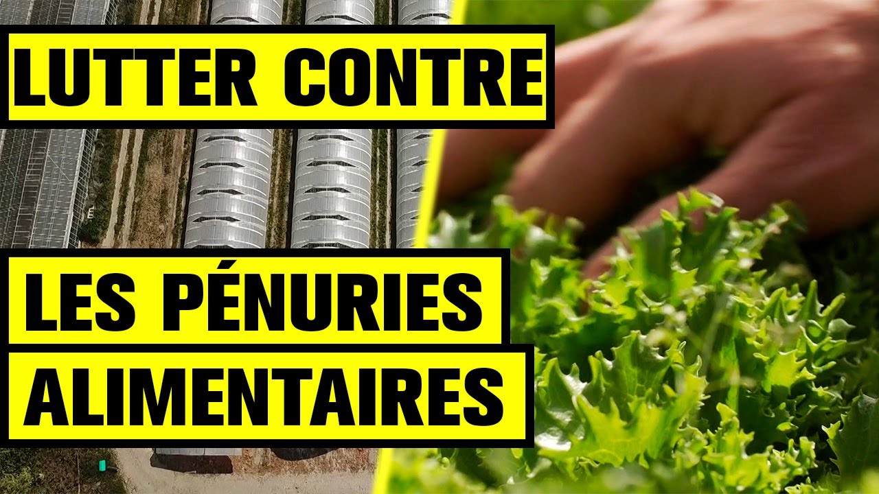 La France en pleine PÉNURIE ALIMENTAIRE