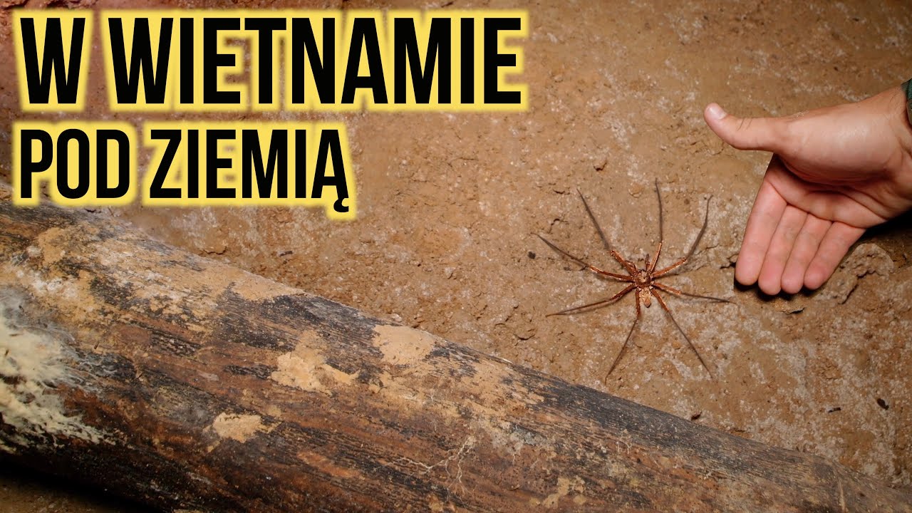 ZSZEDŁEM POD ZIEMIĘ 😳 I zamieszkałem w DOMKU Z BAMBUSA - Phú Lương