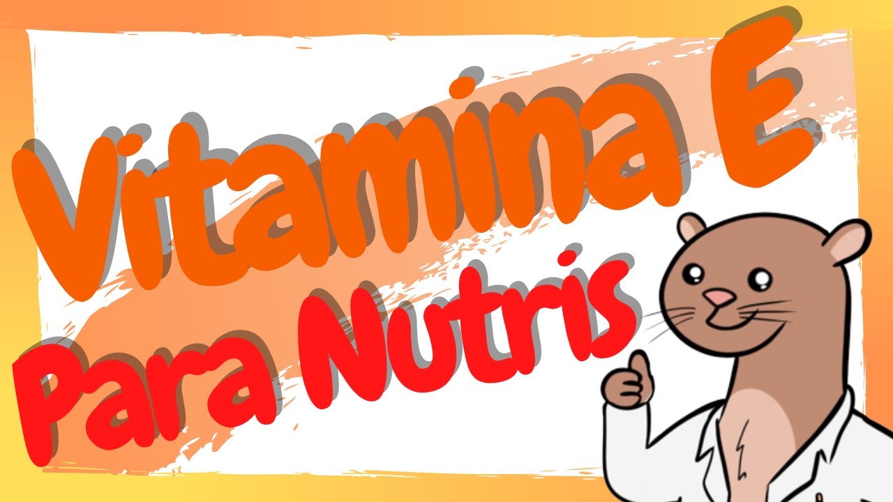 ¿Para qué sirve la vitamina E? / Tocoferol en Nutrición