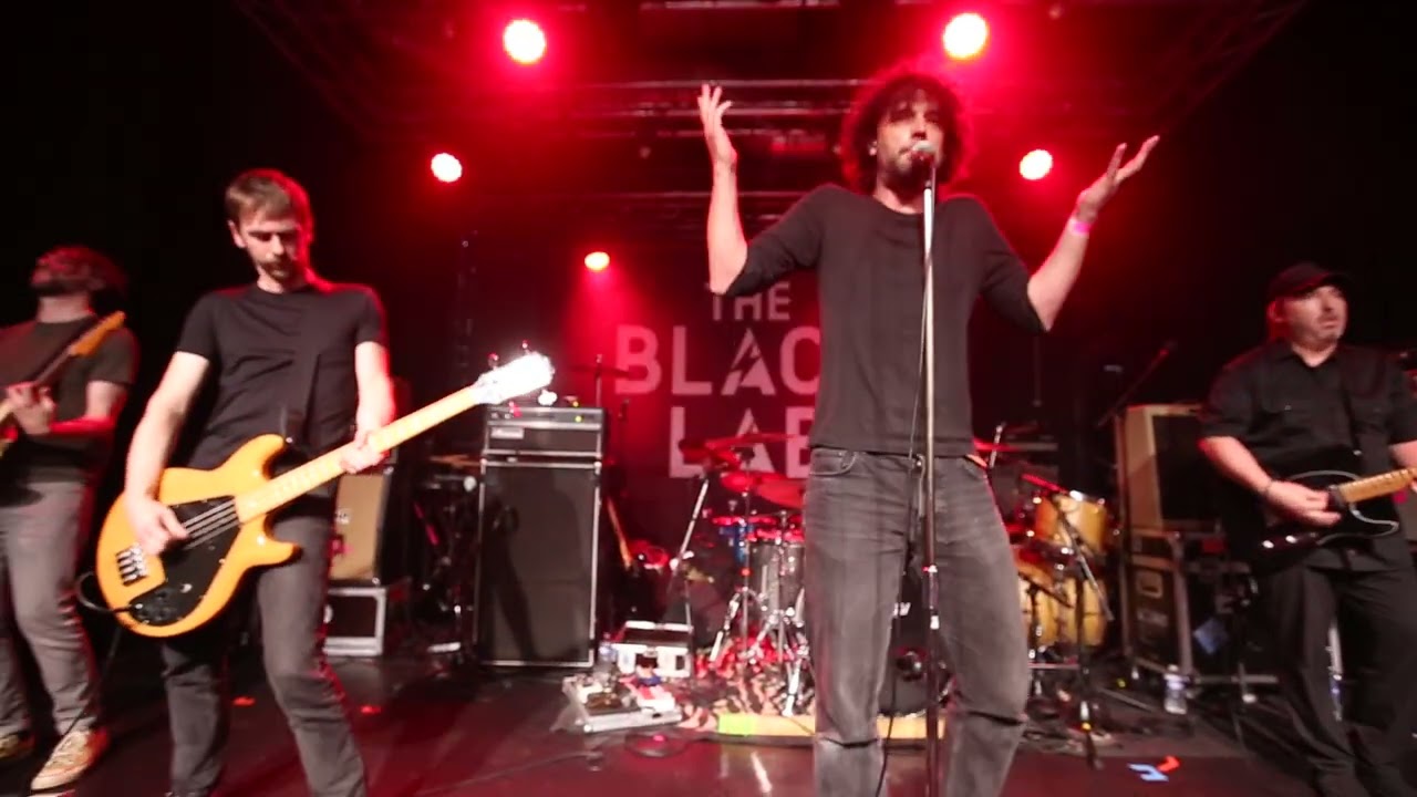 Adieu Soleil - Disquiet @ The Black Lab