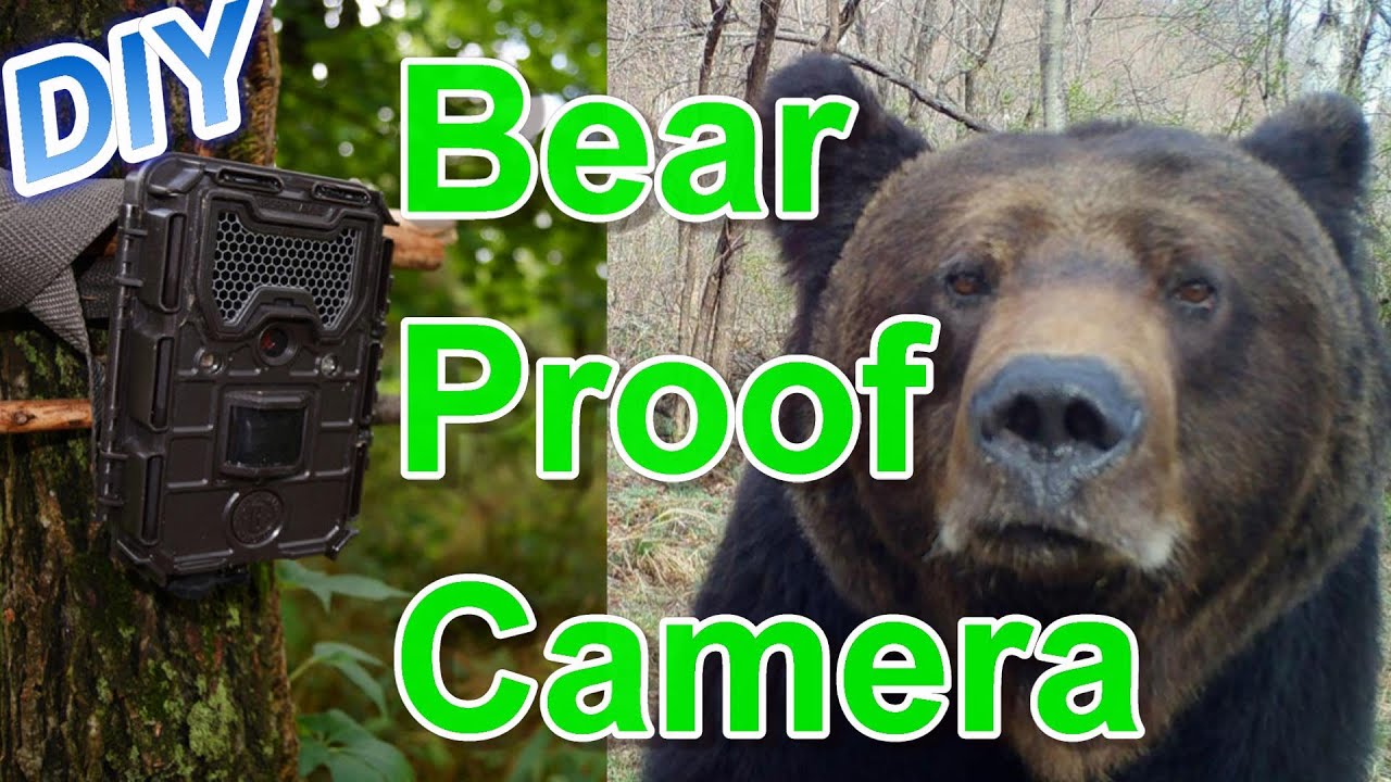 Bear Proof your Trail Camera Cheap & Easy...not super friendly...