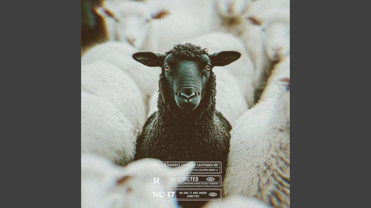 BLACK SHEEP