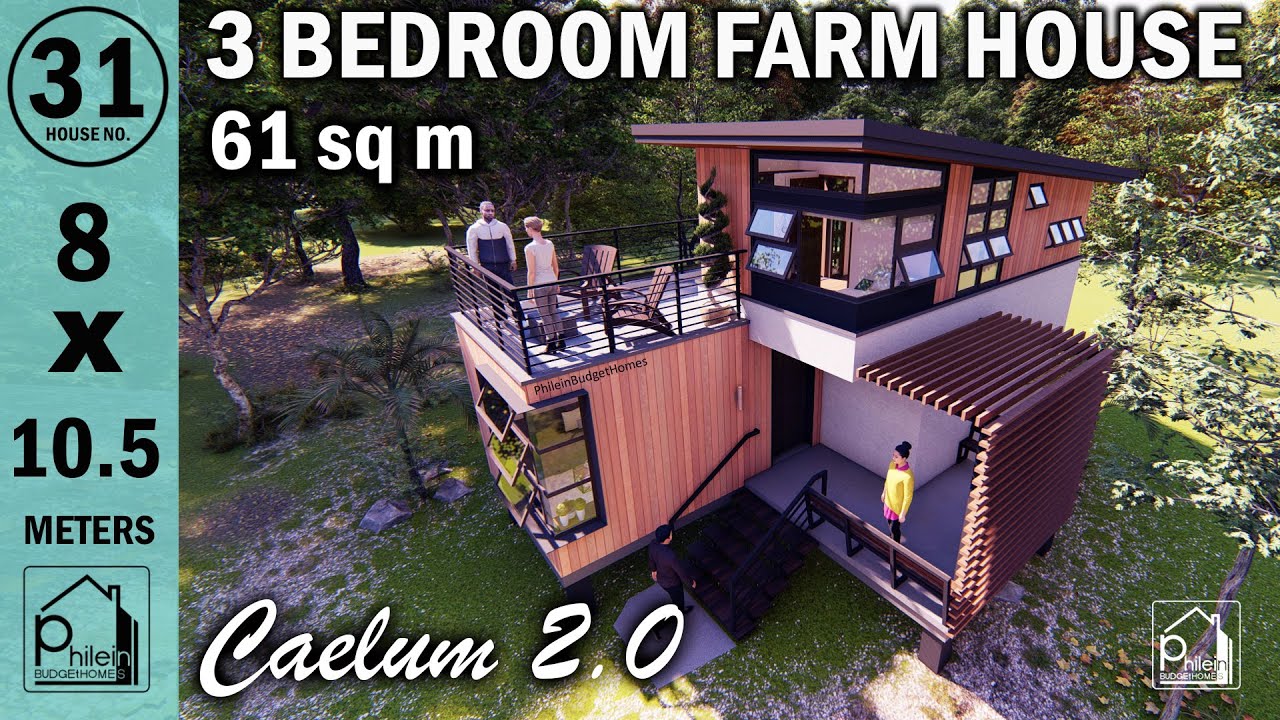 CAELUM 2.0 | 3 Bedroom Elevated Modern Bahay Kubo | 56sqm 3 Bedroom Small house Design 8x9.5meters