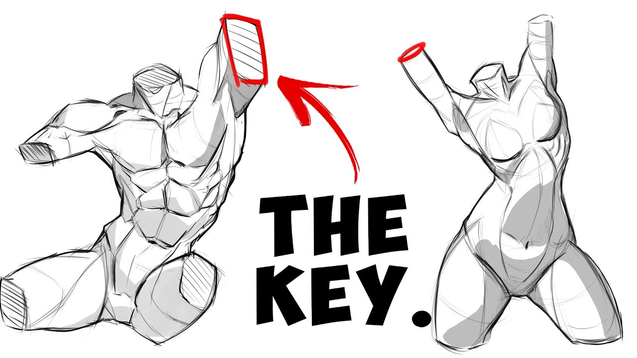 This System UNLOCKED Anatomy