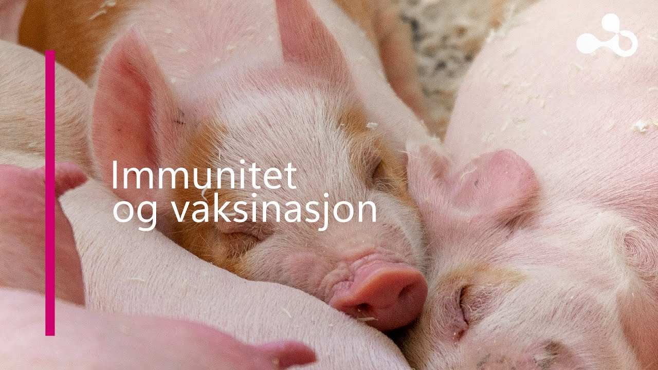 2.2 Immunitet og vaksinasjon