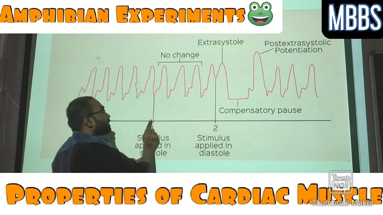 Properties of Cardiac Muscle- Amphibian Experiments. #mbbs #physiology #practical