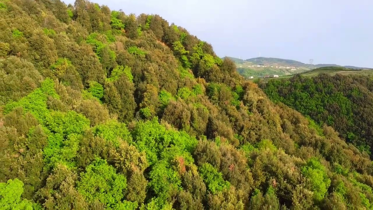 SI VOLA CON DJI MAVIC MINI