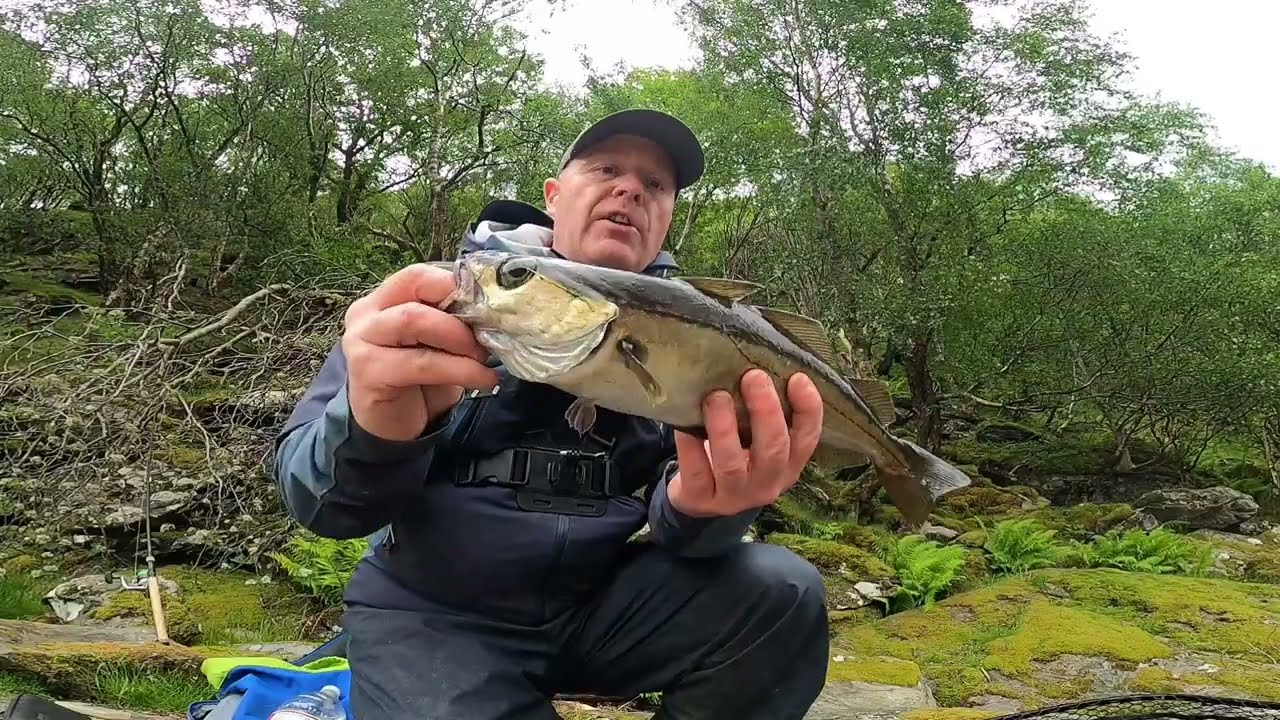 A cracking day lure fishing on a Scottish sea loch
