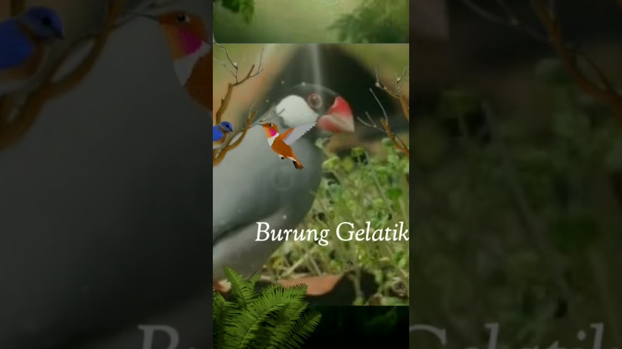 Jenis burung yang dipercaya membawa keberuntungan menurut Primbon Jawa