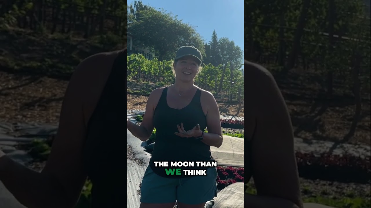 The Moon Controls You: Farming, Cycles, Weather & Water Explained!